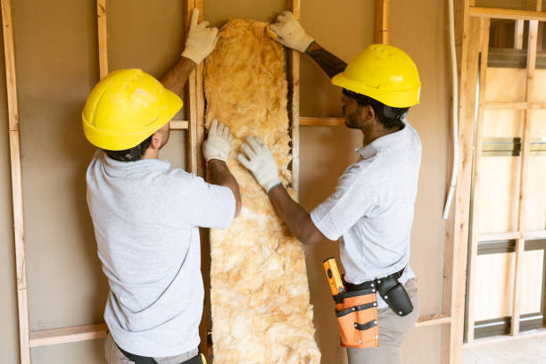 Best Attic Insulation Installation in Hanamaulu, HI